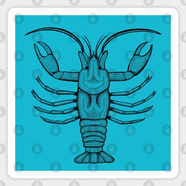 Crayfish or Crawdad Ink Art - cool animal design - on blue Magnet by Green Paladin